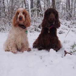 Pose im Schnee