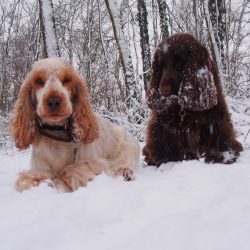 Mädels im Schnee